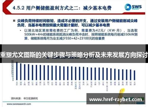 重塑尤文图斯的关键步骤与策略分析及未来发展方向探讨