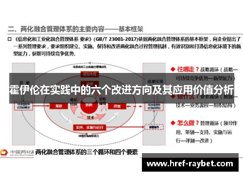 霍伊伦在实践中的六个改进方向及其应用价值分析 霍伊伦在实践中的六个改进方向及其应用价值分析